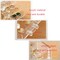 Earring Organizer Box Clear Storage Acrylic for Earrings Necklace Organizer Jewelry Box with 72 Grids Storage Compartments Transparent Ring Clear Jewelry Organizer
